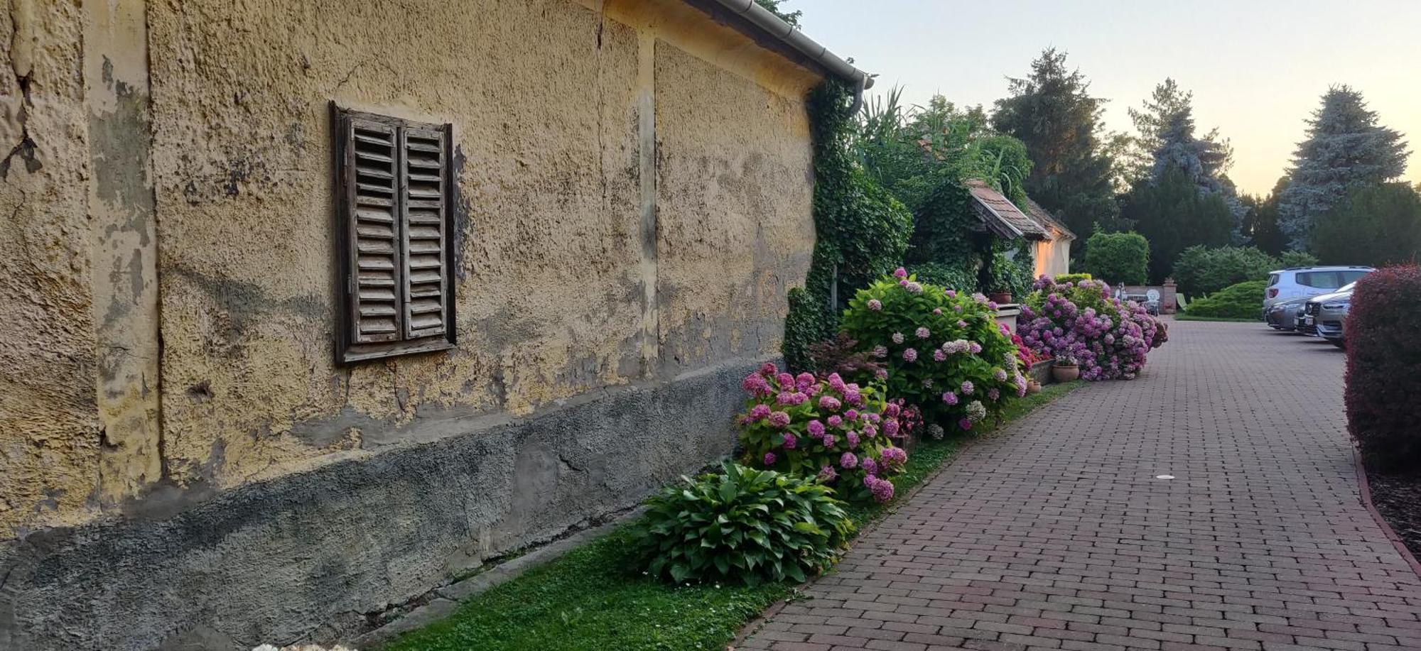 科罗纳艾特莱畔兹奥住宿加早餐旅馆 Balatonberény 外观 照片